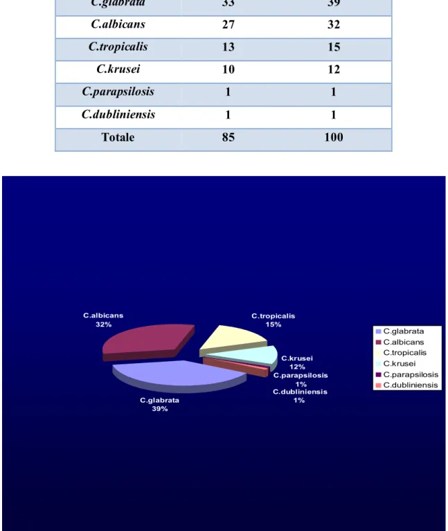 Figure 8: Graphique de la distribution des différentes espèces de Candida 