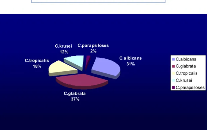 Figure 10 : Distribution des espèces de Candida isolées à partir des sites périphériques