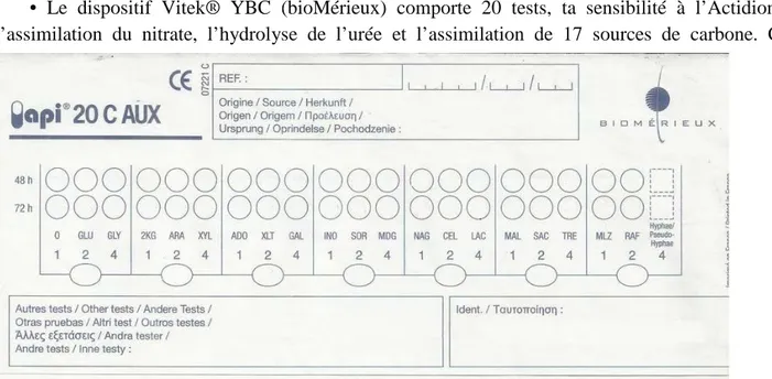 Figure 10 : La fiche de résultats  Vitek ®  YBC (bioMéricux)  