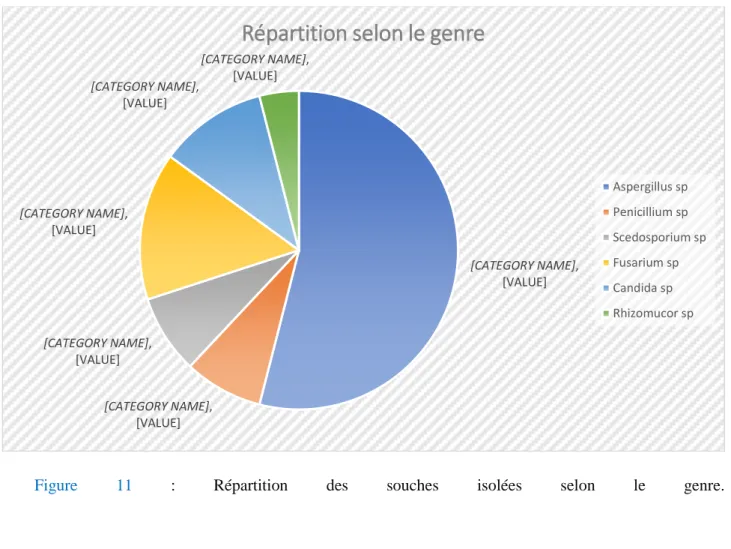 Figure  11  : Répartition des souches  isolées selon le genre.