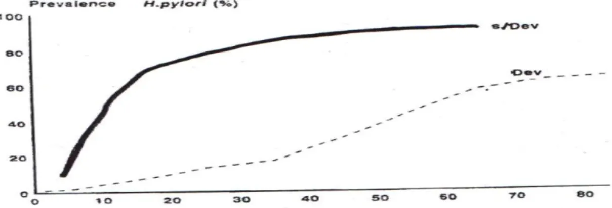 Figure 8 : Courbes schématiques de la prévalence de l’H. Pylori en fonction de l’âge dans les pays développés  et les pays en voie de développement [61]