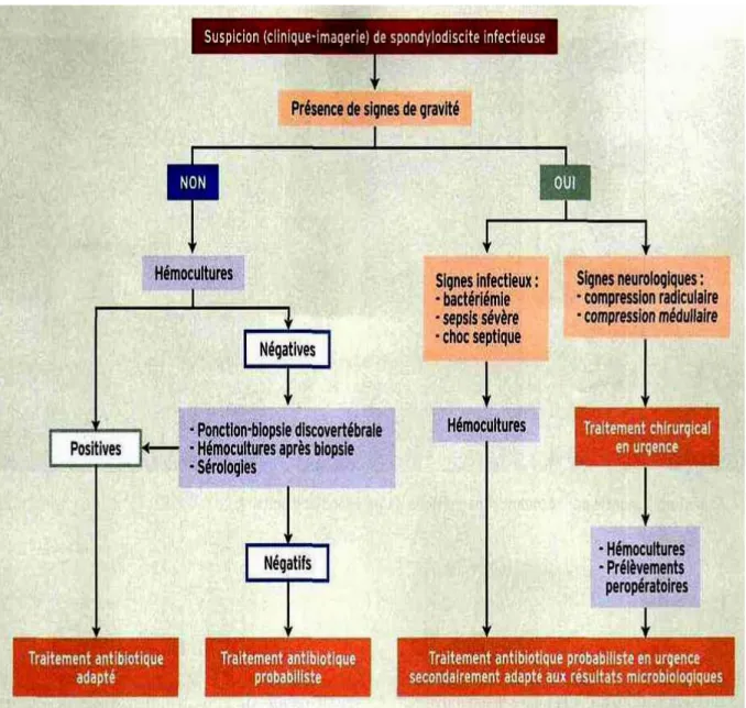 Figure 2 : Diagnostic microbiologique et arbre décisionnel thérapeutique au  cours de SDI [27] 