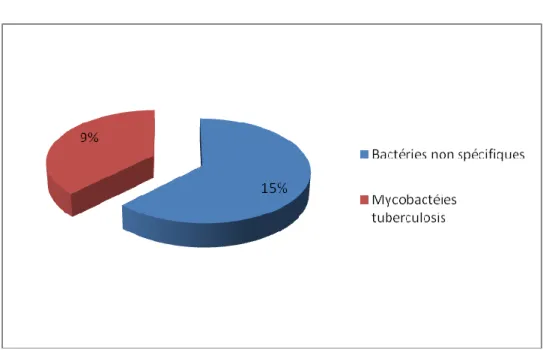 Figure 5 : Pourcentage des bactéries  non spécifiques et Mycobacterium  tuberculosis 
