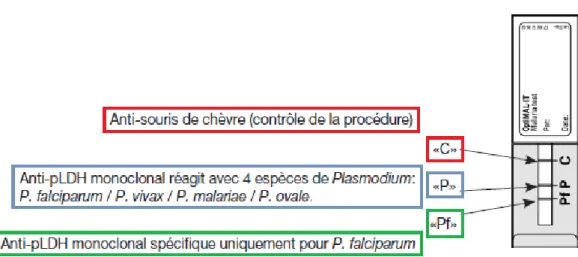 Figure 3 : Schéma d'une cassette TDR OptiMal-IT 