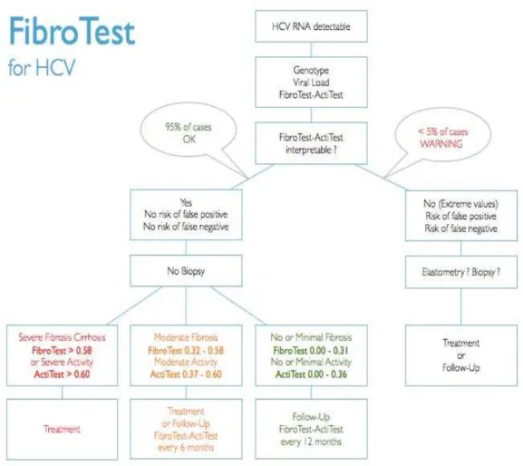 Figure 13 :   Utilité de Fibrotest®  dans la prise en charge de l’hépatite C [66]. 