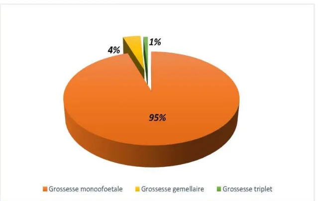 Figure 4 : Nombre de fœtus 