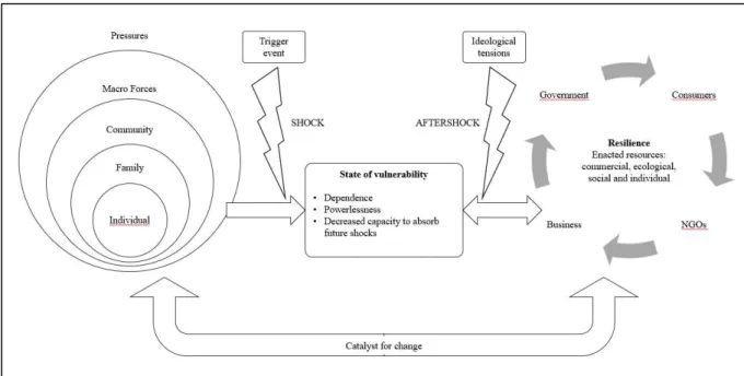 Figure 4: The transformative process model of consumer vulnerability and  resilience by Baker and Mason (2012) 