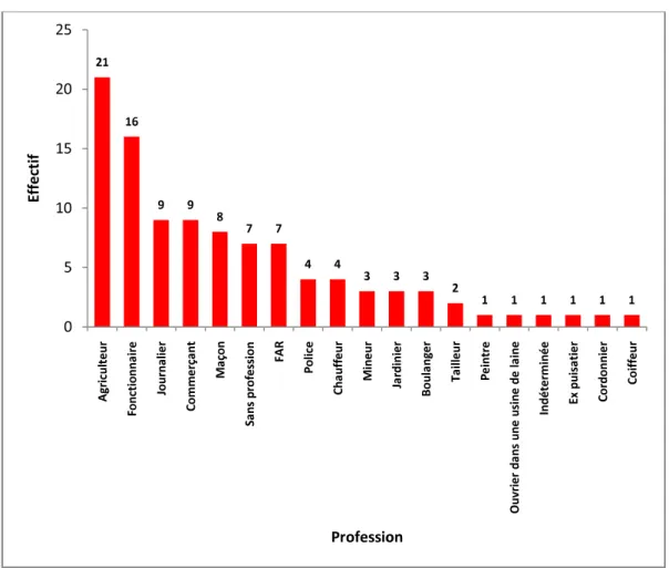 Graphique  N° 3 : Répartition des malades selon la profession  