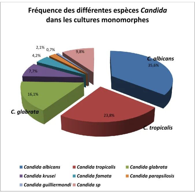 Figure 16 :  Fréquence  des  différentes  espèces  Candida  dans  les  cultures  monomorphes   35,6% 23,8% 16,1% 7,7% 4,2% 2,1% 0,7% 9,8% 