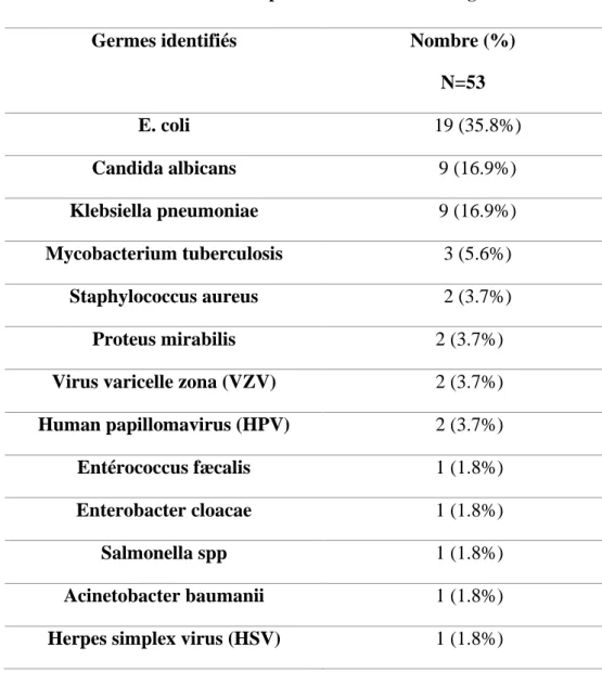 Tableau 7: Germes responsables des infections légères.             