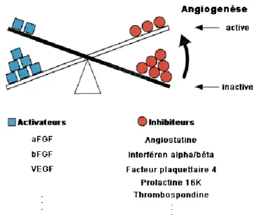 Fig 5. Modèle du « switch angiogène ».  L‟induction de l‟angiogenèse (ou «switch» angiogène) décrit la  transition des cellules endothéliales de la phase de quiescence à la phase d‟activation angiogène