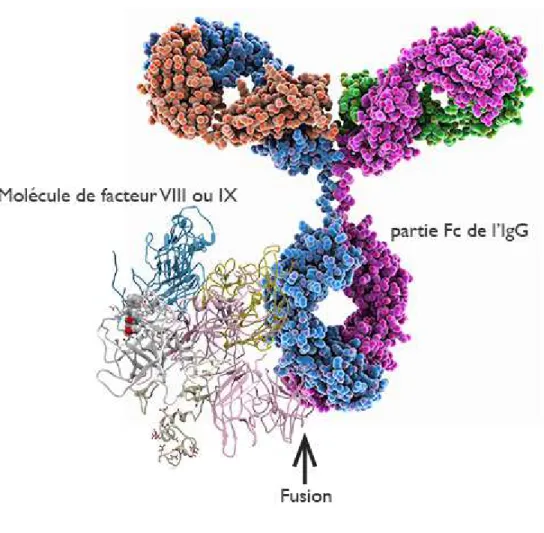 Figure 3: Technique de fusion. 