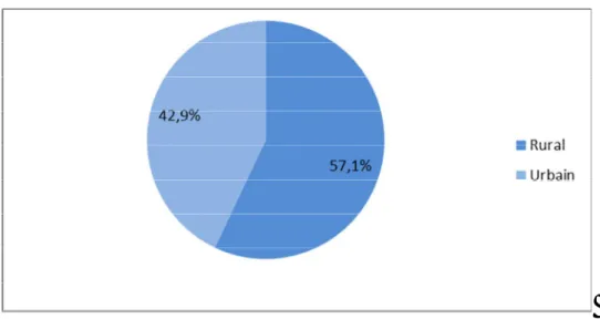 Graphique 2: Répartition des patients selon l’origine géographique 