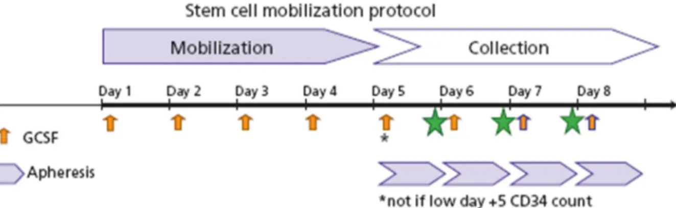 Figure 10 : Schéma de mobilisation préemptive.  