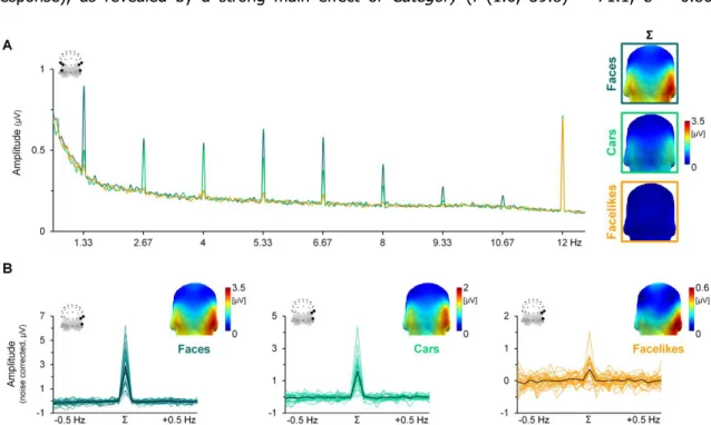 Figure V-2. EEG frequency spectrum averaged across odor contexts for each visual category