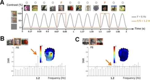 Figure II-1. Methodology and main results from de Heering &amp; Rossion (2015) A. Fast periodic visual stimulation  using sine wave contrast modulation presenting one face (F) every five objects (O) in a stream of 6 images per second  (i.e., 6 Hz), thus in