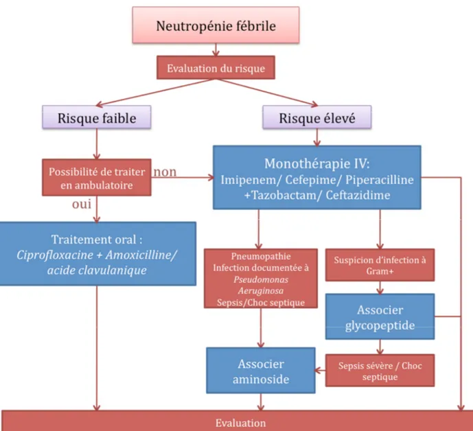 Figure 2 : Choix de l’antibiothérapie initiale 