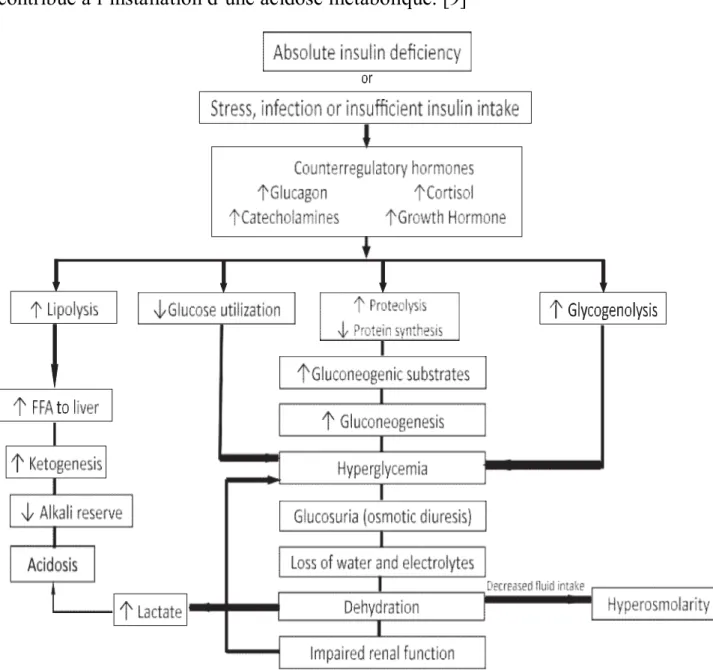 Figure 2 : la physiopathologie de l’acidocétose [12] (ISPAD Clinical Practice Consensus  Guidelines 2014, chapter 11) (FFA : acides gras libres) 