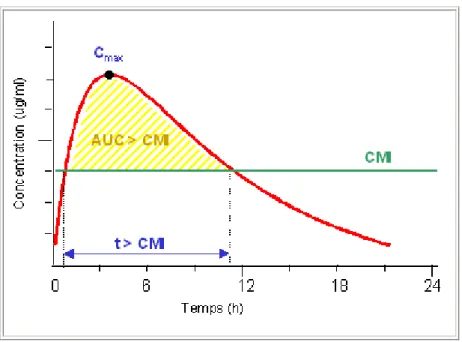 Figure 3: paramètres PK d'un antibiotique à considérer dans l'étude de ses  propriétés PD [21,25] 