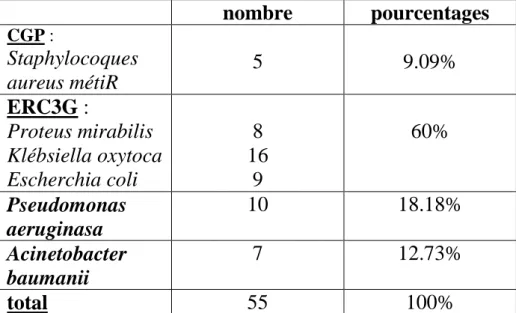 Tableau 1: pourcentages et nombre des espèces trouvés  nombre  pourcentages  CGP :  Staphylocoques  aureus métiR  5  9.09%  ERC3G :  Proteus mirabilis  Klébsiella oxytoca  Escherchia coli  8  16 9  60%  Pseudomonas  aeruginasa  10  18.18%  Acinetobacter  b
