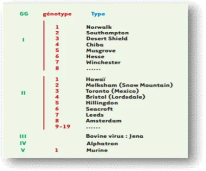 Figure 2: Classification des Norovirus [3]. 