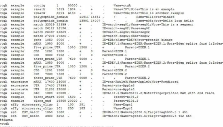 Figure 5: Example of Genome Annotation GFF file format [25]