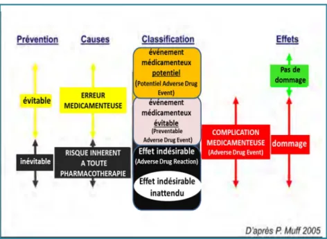 Figure 7: Classification et effets des évènements iatrogènes médicamenteux [134]