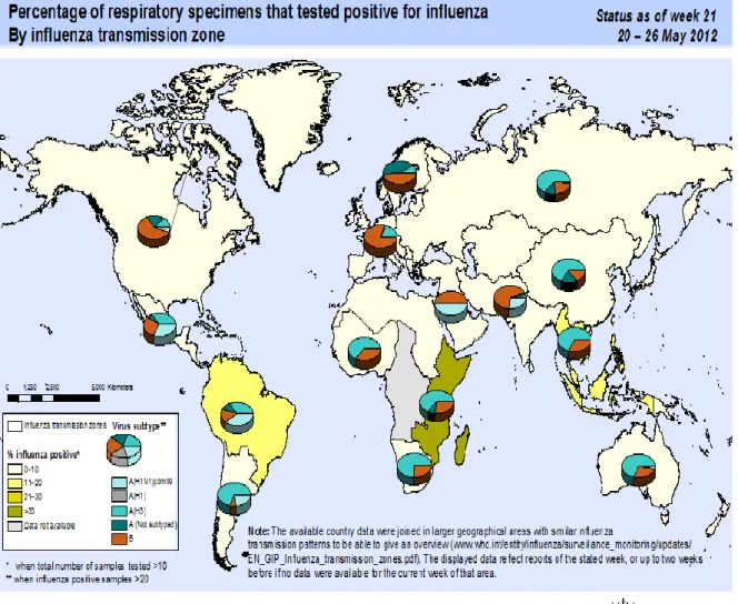 Figure 6 : Pourcentage des spécimens respiratoires positifs pour la grippe   par zone de transmission [38] 