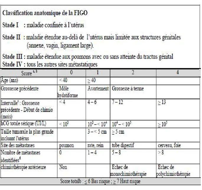 Figure 1 : Système de cotation de l’OMS modifié et adapté par la FIGO 2000 [122] 