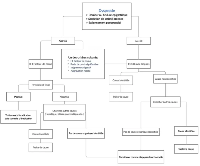 Figure 11 : algorithme pour le diagnostic de dyspepsie [30] 