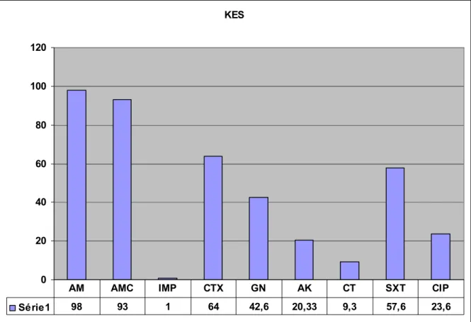 Fig. 5 : Pourcentage de la résistance aux antibiotiques du groupe    KES :Klebsiella ­ Enterobacter ­Serratia 