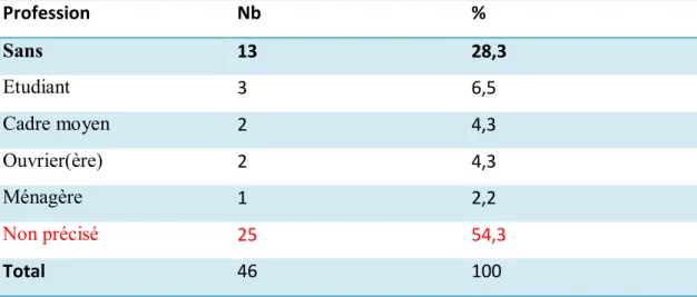TABLEAU n°5 : répartition des patients selon l’activité professionnelle 