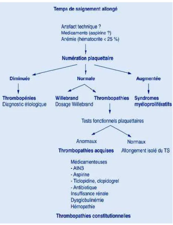 Figure 6 : Allongement du TS [40] 