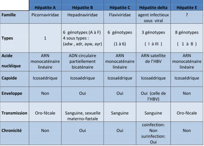 Tableau III : Caractéristiques virologiques des différentes familles de l’hépatite [4]