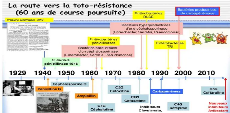 Figure  2 : Evolution de la résistance bactérienne aux antibiotiques [10]. 