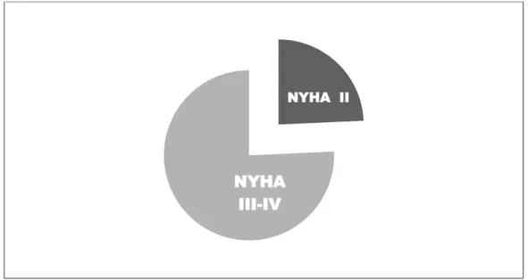 Figure 10 : Répartition des patients selon le stade NYHA à l'admission. 
