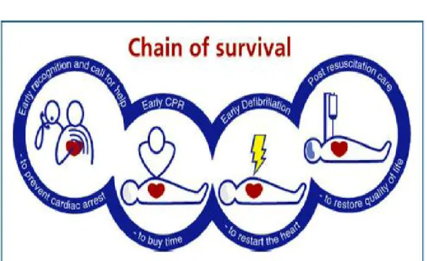 Figure 1 : La chaine de survie [3] 