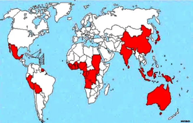 Figure 3: Distribution de l’ulcère de Buruli dans le monde[43]. 