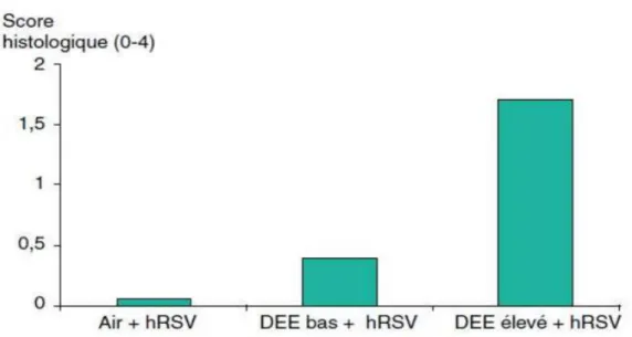 Figure  11 : Lésions pulmonaires chez la souris infectée par le VRSh en présence ou non de  concentrations croissantes de particules de diesel (DEE) (d’après H