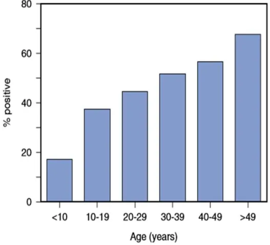 Figure 1: Pourcentage de sujets ayant un anticorps IgG dirigés contre le parvovirus B19 selon  l'âge [4] 