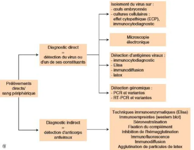 Figure 5: Méthodes De diagnostics virologiques directs et indirects utilisées sur les différents  prélèvements [20]