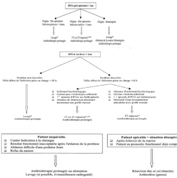 Figure 15 : Propositions thérapeutiques de l’infection de prothèse   ostéoarticulaire  (IPA)