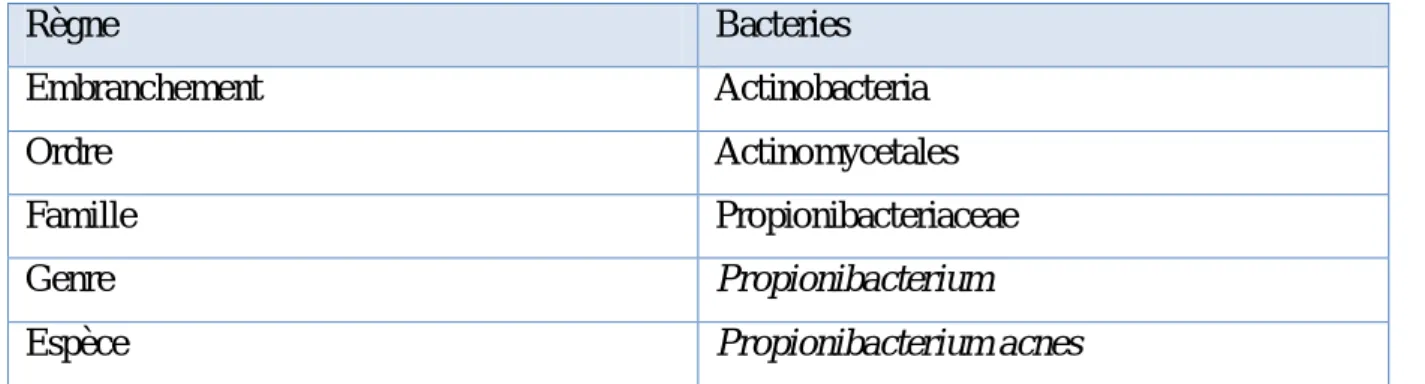 Tableau I : Classification scientifique de Propionibacterium acnes [26].  