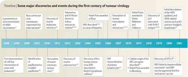 Figure 2: Les grandes découvertes des virus