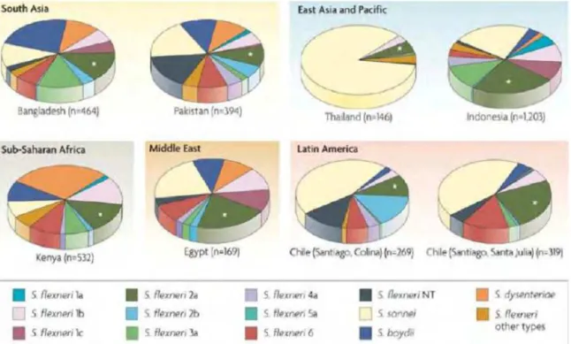 Figure 9  Distribution des espèces et des sérotypes de Shigella dans le monde. [59] 