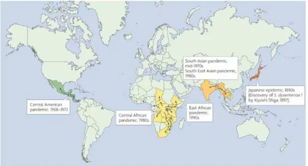 Figure 10  Les épidémies de  Shigella dysenteriae . [62] et l’Afrique Centrale dans la région  des grands lacs entre 1979 et 1981 d’abord Zaïre puis Rwanda, Burundi, et Tanzanie