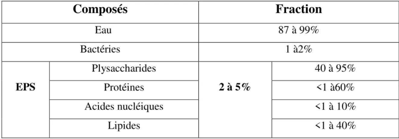 Tableau I : Composition typique d'un biofilm bactérien(17). 