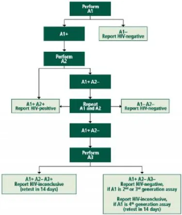 Figure 12 : Algorithme diagnostique de l’infection   à VIH chez une population à haute prévalence (≥ 5%) [34]