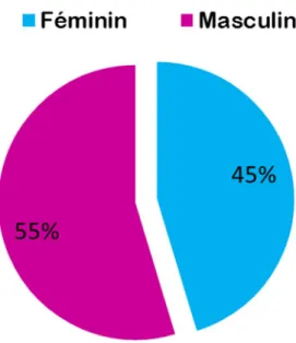 Figure 2 : Répartition selon  le sexe 