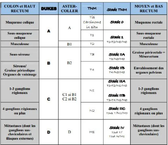 Figure 12 : Classification anatomopathologique (UICC 2002) 